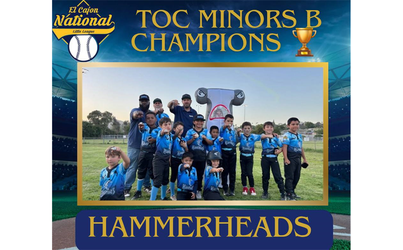 TOC CHAMPS CAPS - HAMMERHEADS