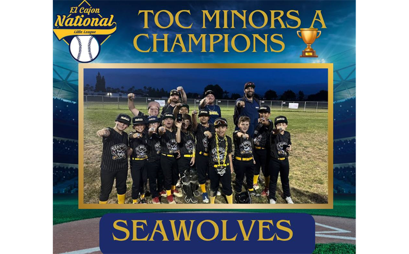 TOC CHAMPS MINORS A - SEAWOLVES